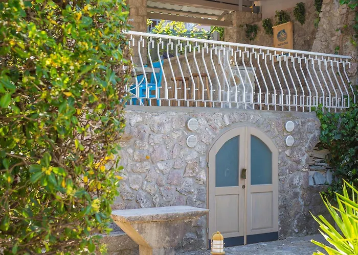 Blue Dondola * مالينسكا