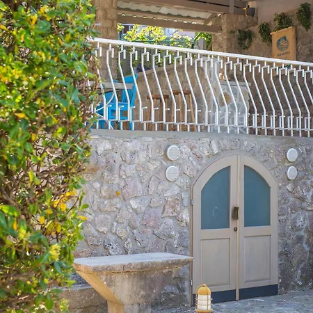 Blue Dondola * Malinska